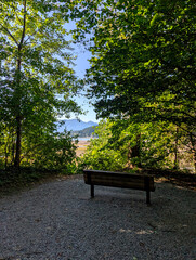 Gravel Viewpoint of Mountains and Water Framed by Green Trees