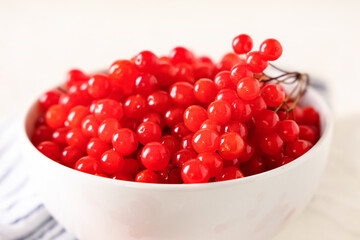 Bowl with fresh viburnum berries on white background, closeup