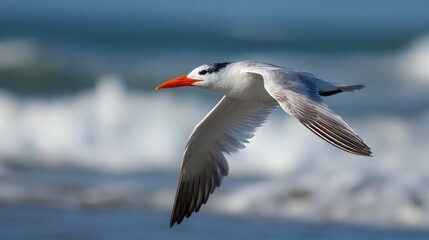 A tern soars gracefully above the ocean waves, showcasing its white feathers and striking orange beak. The sun shines brightly, creating a serene beach atmosphere.