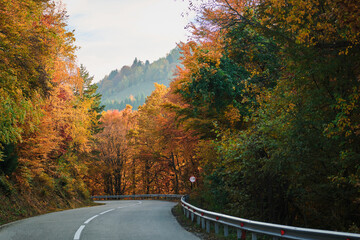 Scenic autumn drive through a forest with colorful foliage. The road winds through vibrant trees, creating a beautiful and tranquil landscape. Road trip, fall colors and nature.