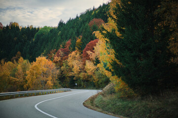 A scenic winding road through a forest in autumn, showcasing vibrant fall foliage. The road invites exploration and evokes a sense of adventure and natural beauty.