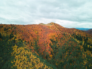 Aerial view of a mountain covered in vibrant autumn foliage.  A mix of green, yellow, and red trees creates a stunning landscape under an overcast sky.  Nature's beauty at its peak.