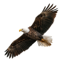 Obraz premium Png of majestic bald eagle soaring through the sky, wings spread wide, isolated on transparent background a symbol of freedom