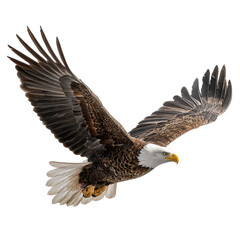Obraz premium Png of majestic bald eagle in flight, isolated on transparent background, showcasing its impressive wingspan and powerful presence