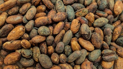 Top view of dry cocoa beans, ready for the production of cocoa or chocolate. Bio cocoa beans - raw materials.