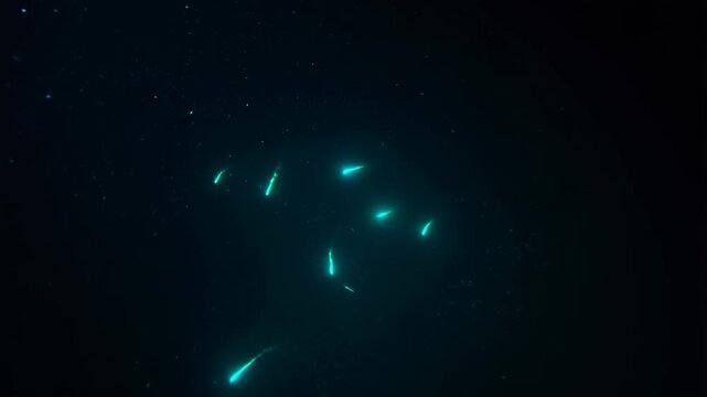 Bioluminescent Plankton Glowing in Deep Dark Ocean Water with Subtle Light Trails