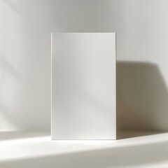 Minimalist White Canvas Against Soft Light with Shadow Background Perfect for Art Display or Inspiration