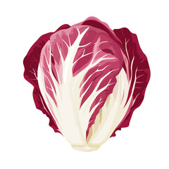 Minimal 2D vector illustration of Radicchio in flat icon style on a plain white background.