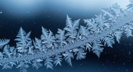 Obraz premium Intricate ice crystals form a delicate pattern on a window pane creating a beautiful winter scene professional stock photography content