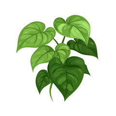 Flat 2D vector illustration of Syngonium, simple icon style on a clean white background.