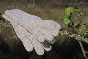 A pair of melange woolen gloves on a tree branch. Warm, handmade knitwear.