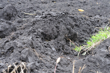 Freshly plowed soil in a field. Close-up of freshly plowed soil.