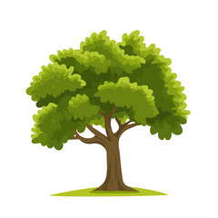 Flat 2D vector illustration of Sassafras Tree, simple icon style on a clean white background.
