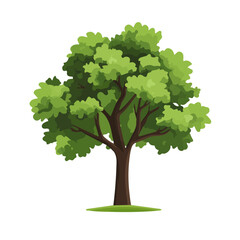 2D flat vector illustration of Mahogany Tree, clean and minimal icon style, isolated on white background.