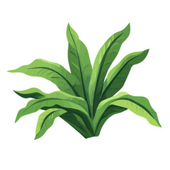 Minimal 2D vector illustration of Staghorn Fern in flat icon style on a plain white background.