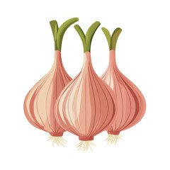 Minimal 2D vector illustration of Shallots in flat icon style on a plain white background.