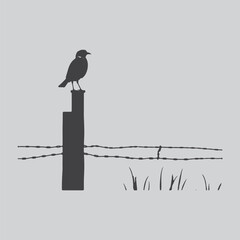 a solitary bird perched on a wooden post against a muted gray background showcasing simple elegance