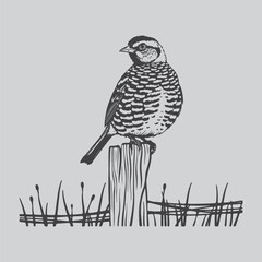a detailed black and white sketch depicts a small bird perched upon a weathered wooden post