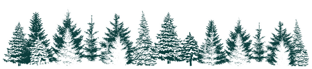 Fir trees silhouette. Christmas winter forest. Beautiful hand drawn panorama of coniferous forest. Not AI, vector illustration.