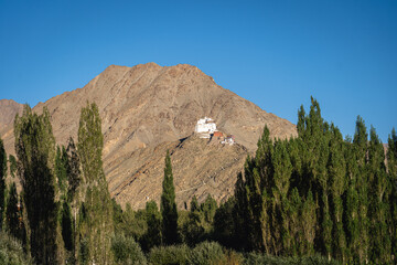 Leh, India - September 24, 2025: Namgyal Tsemo Monastery, a Buddhist monastery and Tsemo Castle located on a hilltop overlooking Leh