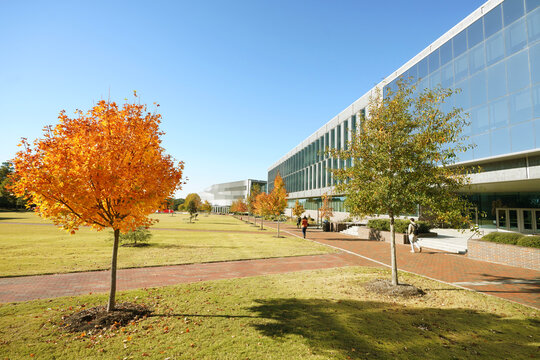 Students walking on Centennial Campus of North Carolina State University in Raleigh , with Fall foliage