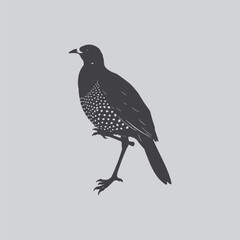 A striking silhouette of a dark bird perched on a slender branch against a neutral backdrop
