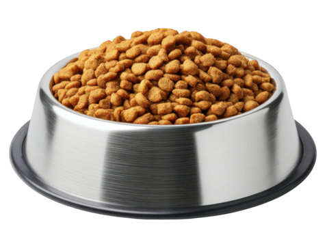 A bowl of dog food is sitting on a white background