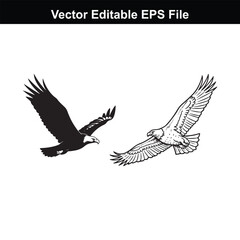Obraz premium Two eagles in flight, one silhouette and one detailed