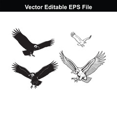 Fototapeta premium Four eagle silhouettes and line art drawings in flight