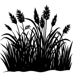 Obraz premium grass silhouette vector