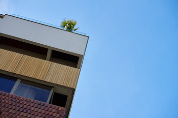 Low-angle view of modern building corner with textured facade panels and small palm plant on rooftop terrace under clear blue sky. Concept of urban architecture