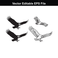 Obraz premium Four eagle silhouettes and line art drawings in flight