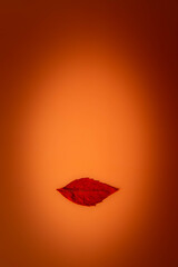 Minimalist photograph suggesting a young woman's face, made from a orange leaf as lips and an oval...