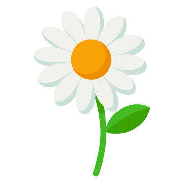 Simple cartoon daisy flower with green stem and leaf