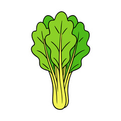 Stylized illustration of a bunch of green leafy vegetables