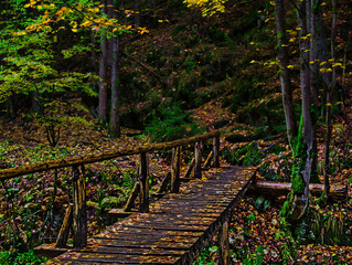 Bridge over river Opava with stones in Jeseniky mountains