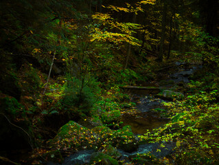 Wild river Opava with stones in Jeseniky mountains