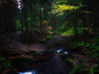 Wild river Opava with stones in Jeseniky mountains
