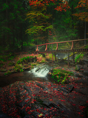 Bridge over river Opava with stones in Jeseniky mountains