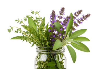 Fresh herbs in a glass jar, healthy food concept