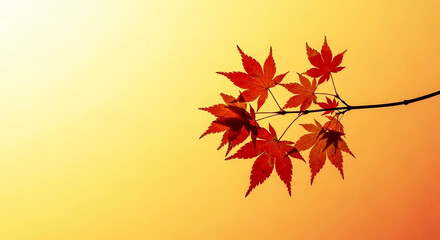 Vibrant red maple leaves against warm golden sky autumn fall