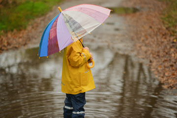 Happy child in yellow raincoat and hat holding colorful rainbow umbrella standing in puddle on rainy autumn day in park.
