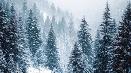 Obraz premium Christmas winter wonderland forest with snowfall 