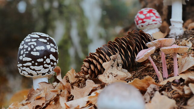 Amanita mushroom among pine cones and leaves. Autumn forest floor. Detailed texture. Perfect for nature backgrounds