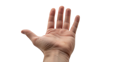 Human open palm with fingers spread showing skin texture and lines isolated on a transparent background