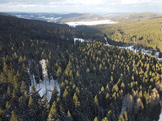 Tall observation tower in a snowy forest. Ideal for travel agency website backgrounds