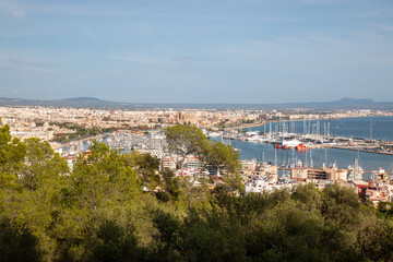 Palma city  from Mirador del Castillo de Bellver Palma city  Mallorca Balearic Islands Spain 