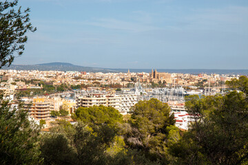 Palma city  from Mirador del Castillo de Bellver Palma city  Mallorca Balearic Islands Spain 
