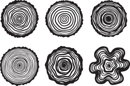 Set of Six Hand Drawn Tree Ring Cross Section