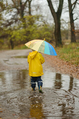 Happy child in yellow raincoat and hat holding colorful rainbow umbrella standing in puddle on rainy autumn day in park.